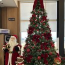 대형정비 | 담양 더하루 수족관 카페 애견동반, 브런치 가능한 대형카페 후기