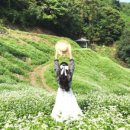 쌍이리귀바위 이미지