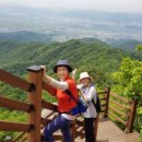 초례산 숲속 힐링로드 이미지