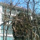 SK 청계주유소 이미지