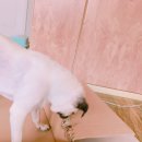 대박이집 이미지