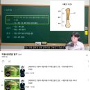 네일 필기 시험 원패스 합격 후기 난이도 꿀팁 책 추천 - 기분파