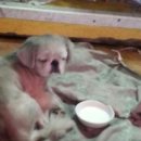 김석주한의원 이미지