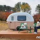 도그도그펫 이미지