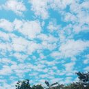 좌월공원 Daum카페