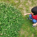 늘행복한농장 이미지