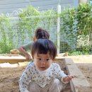 만 0,1세 아기나무반 / 즐거운 모래놀이 이미지