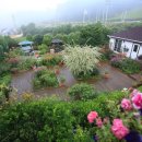 살바토레펜션 이미지