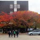 대구교대과학관 Daum카페