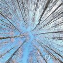 인제06-1 이미지