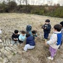 11월 넷째주 생태놀이(김장김치 담기/흙동산 새날놀이/공룡알 굴리기/블럭놀이/낙엽놀이/진덕왕릉 나들이/책놀이/실내놀이) 이미지