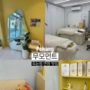 무모먼트 이미지
