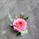 원주 중앙동 행정복지센터 이미지