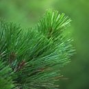 공촌경로당 이미지