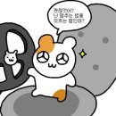 황금조개튼튼장어 이미지