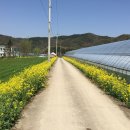 지사안하마을 이미지