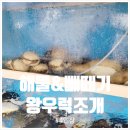 해물&빼떼기 | 전현무계획보고 달려간 거제 해물빼떼기에서 왕우럭조개랑 해물찜 내돈내먹 (간판: 코끼리랑 왕우럭)