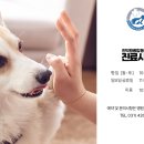 인덕원동물의료센터 이미지