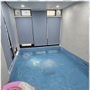 스테이 아델 이미지