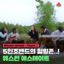 웨스턴(weston) 이미지