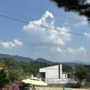 해우2농장 | 동물들에게 먹이를 주며 교감하기 좋은 체험 동물원_대구 팔공산 하하농장