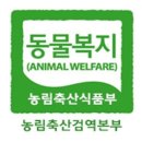 양심농장 이미지