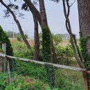 비취원펜션 이미지