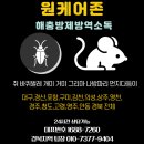 경주방역 | 경주 방역업체 후기가 보여주는 원케어존