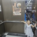 쭈꾸미엄나무닭한마리 | 부산 장림 &#34;김정옥 엄나무 삼계탕&#34; 가성비 닭한마리 곰탕과 삼계탕 후기
