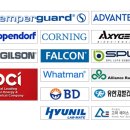 엔투코리아 이미지