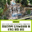 시흥동 역사문화길 이미지