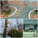 고봉민김밥인노원마들역점 - 노원구 동일로 1538 | 고봉민김밥인노원마들역점