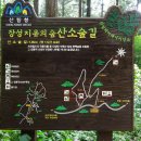 축령산 산소길(2구간) 티스토리