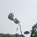 불암약수 이미지