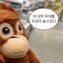 토종황토생삼겹살 이미지