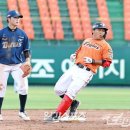 김태연 일간스포츠