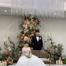 나래축산 | [필마이스냅] 울산 울산시티컨벤션 그린나래홀 아이폰스냅 촬영 후기