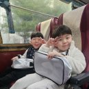발산어린이집 이미지