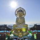 보현사 주차장입구 이미지