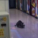 커플 노래방 이미지