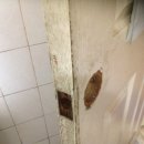 홈플러스앞 화장실 이미지