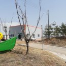 둔포농협 산지유통센터 네이버블로그