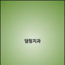 덤핑싸
