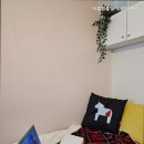 더룸원룸텔노량진역점 | 노량진고시원 더룸원룸텔 노량진역점 안전한 노량진 고시원