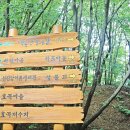 백운산둘레길9코스 네이버블로그