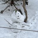 구상나무 화장실 | [등산] 겨울 한라산 영실코스 윗세오름 후기ㅣ3n년 인생 최고의 설경 (주차/등산정보 총정리)