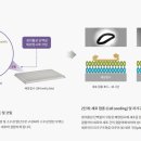 (주)에스팜 이미지