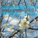 문산슈퍼 이미지