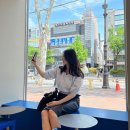 [시즈니일상] 아이돌보미 X2
