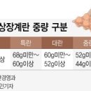 공판장유통 이미지